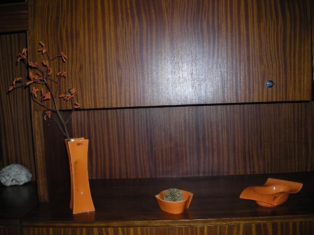 Fotky: Anigozantos, klokan� tlapka (foto, obrazky)