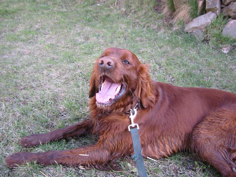 Foto: N� Max - mil��ek rodiny