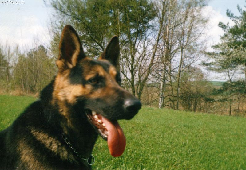 Foto: Dix�k-Mil�ek =o)