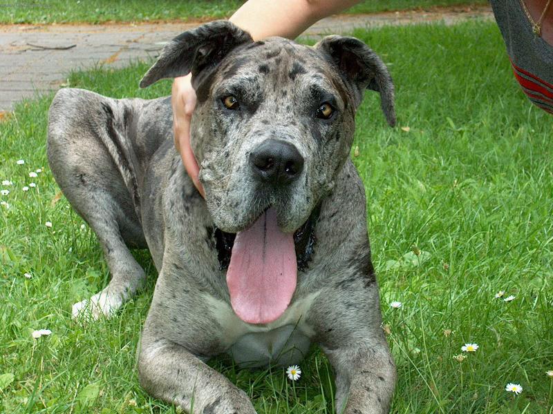 Foto: Nuflo-Tady jsem slavil 5 narozeniny