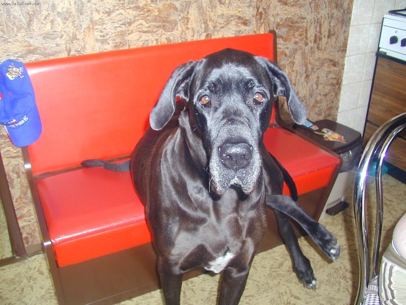 Foto: JENNY-SLE�NA