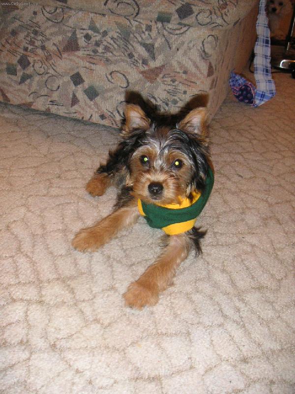 Foto: U� je mi teplo