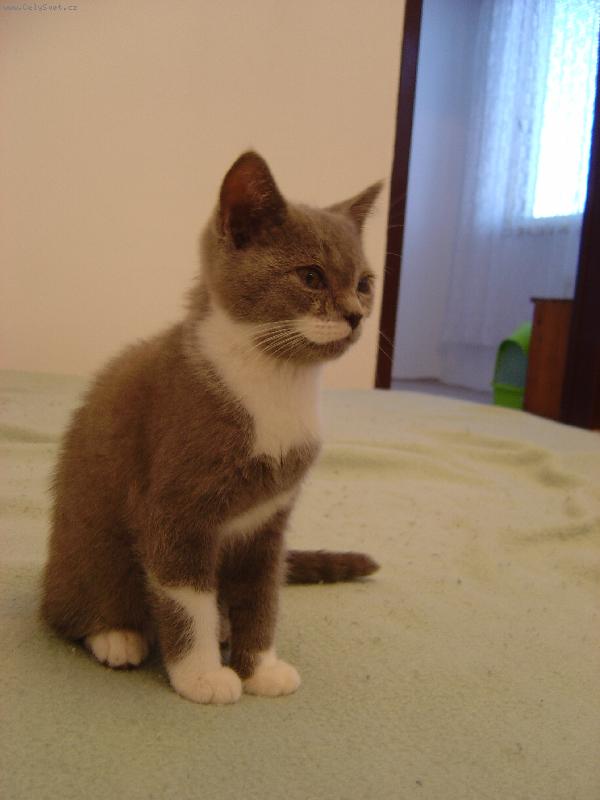 Foto: Caesar-v�k 11t�dn�