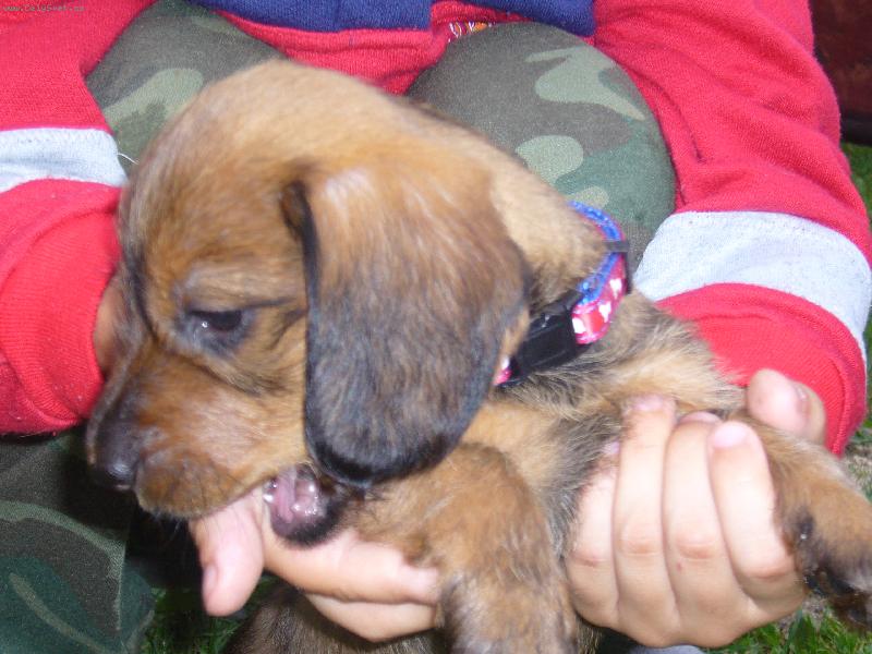 Foto: hmmmm to je ale dobrej prst :-)