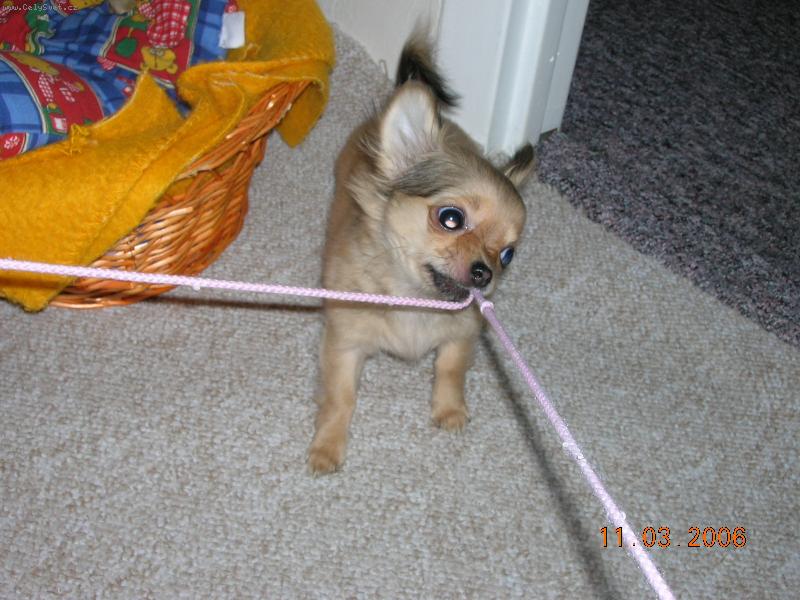 Foto: Dorotka-N�e mal� trha�ka