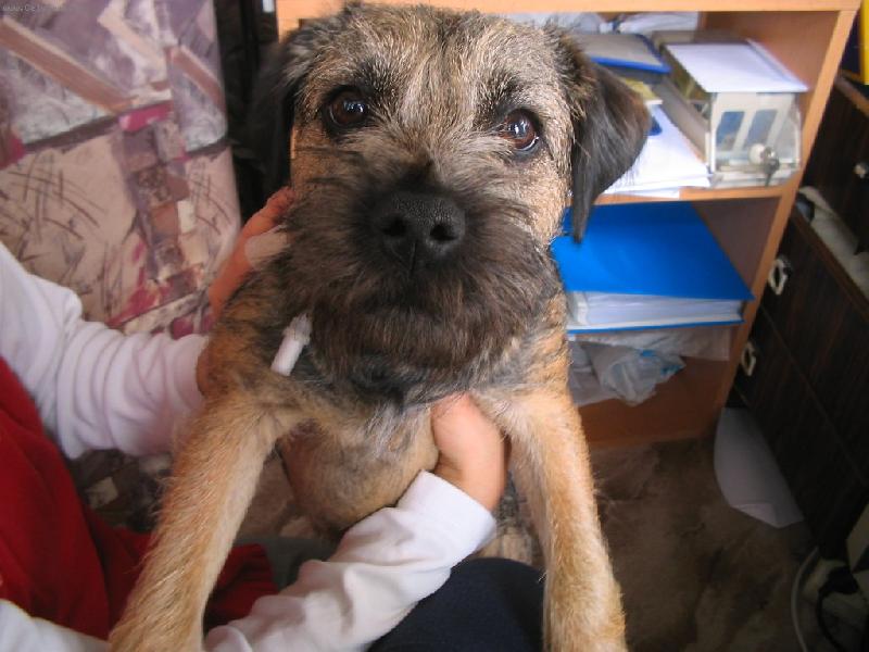 Foto: Iran kouk�-Iran kouk�