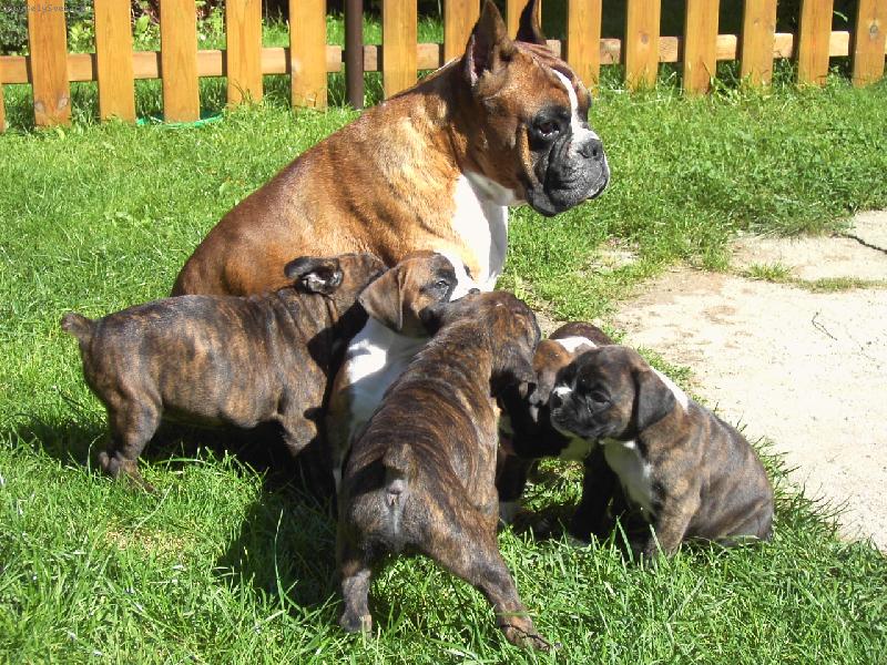 Foto: maminka a �t���tka