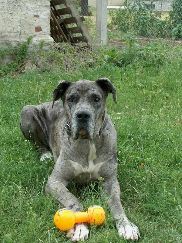 Foto: Nufl�k-3 roky