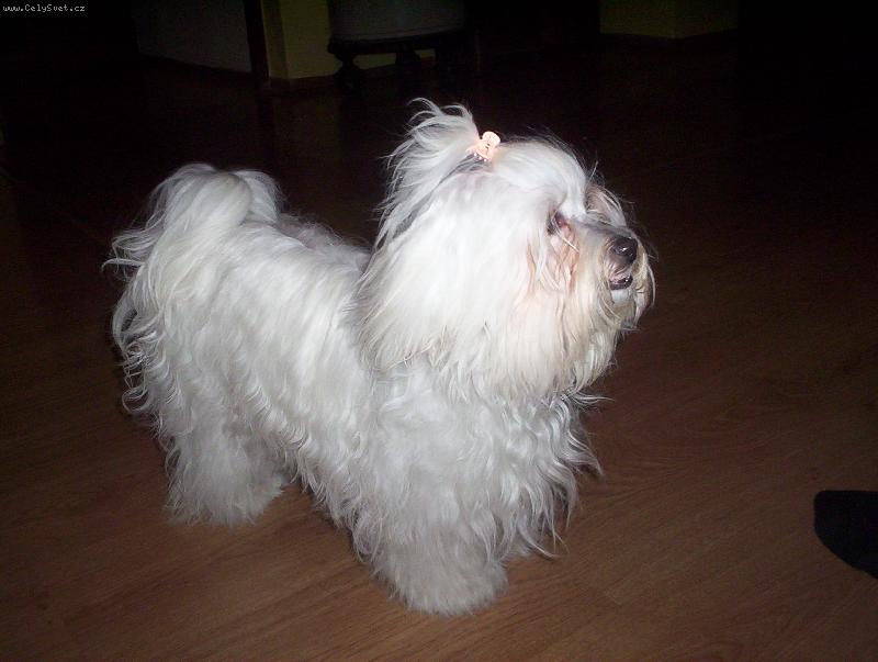 Foto: Moje l�ska.........Deli