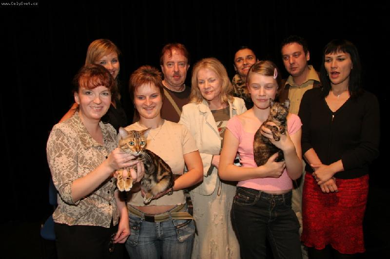 Foto: miss kocka 2006