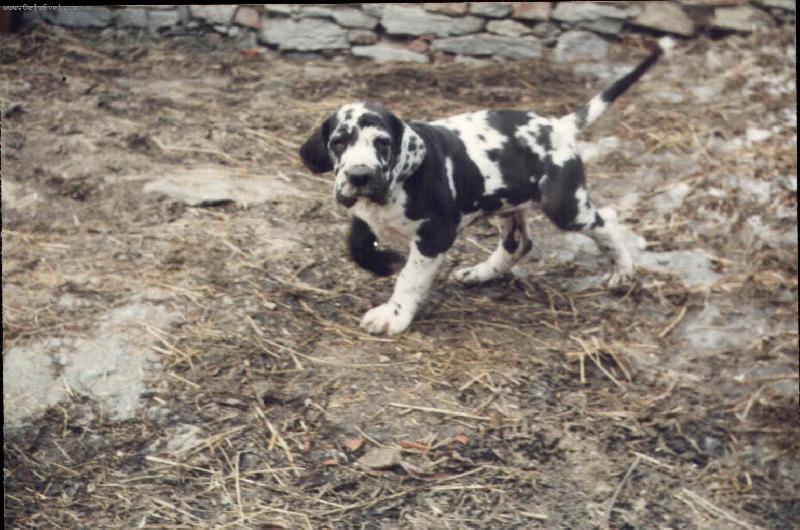 Foto: Korba Uttis-Korba Uttis