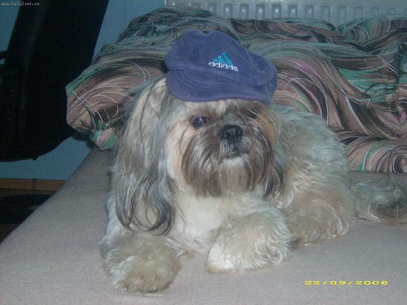 Foto: na� krasavec s �epic�-Mates