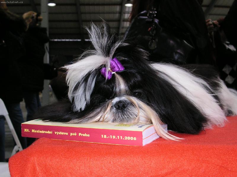 Foto: Na v�stav�