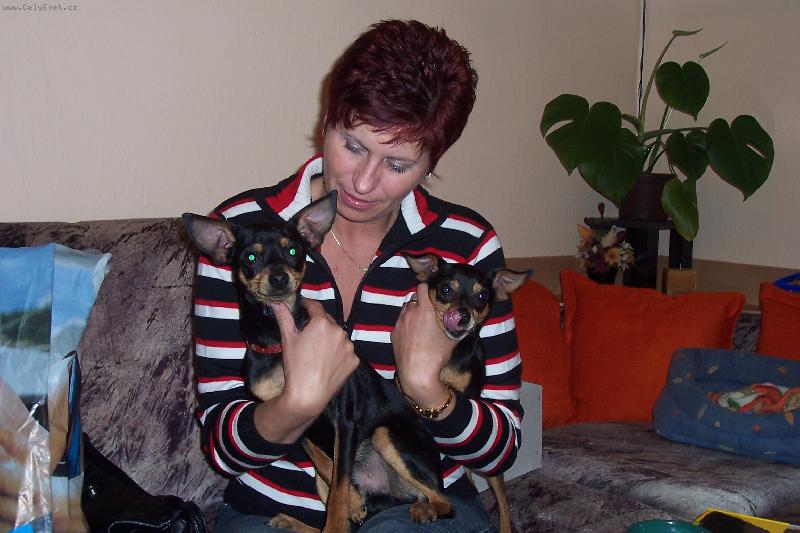 Foto: J�, Dan a kamar�d