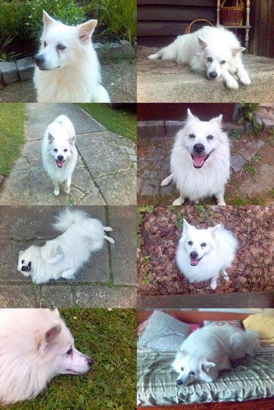 Foto: N� M�a-N�meck� �pic