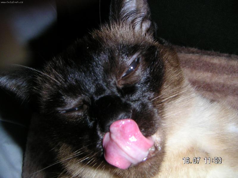 Foto: jee to je jaz��ek :-)