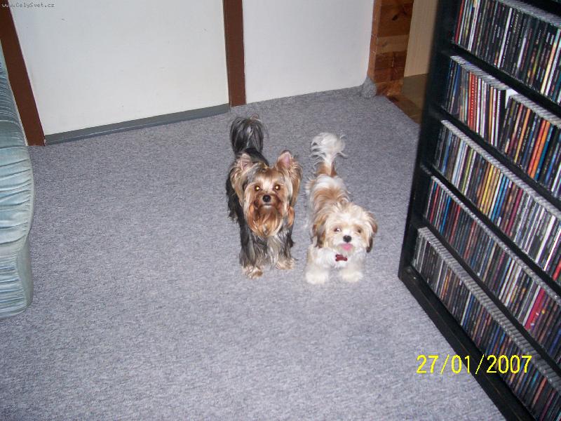 Foto: Brenda a Bessy