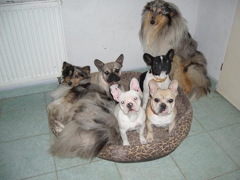 Foto: Tepl� pel�ek