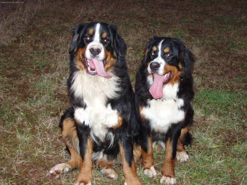 Foto: Lusy a Eli�ka