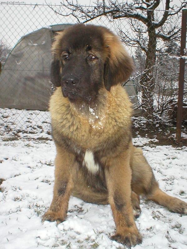 Foto: Agbar 5 m�s�c�