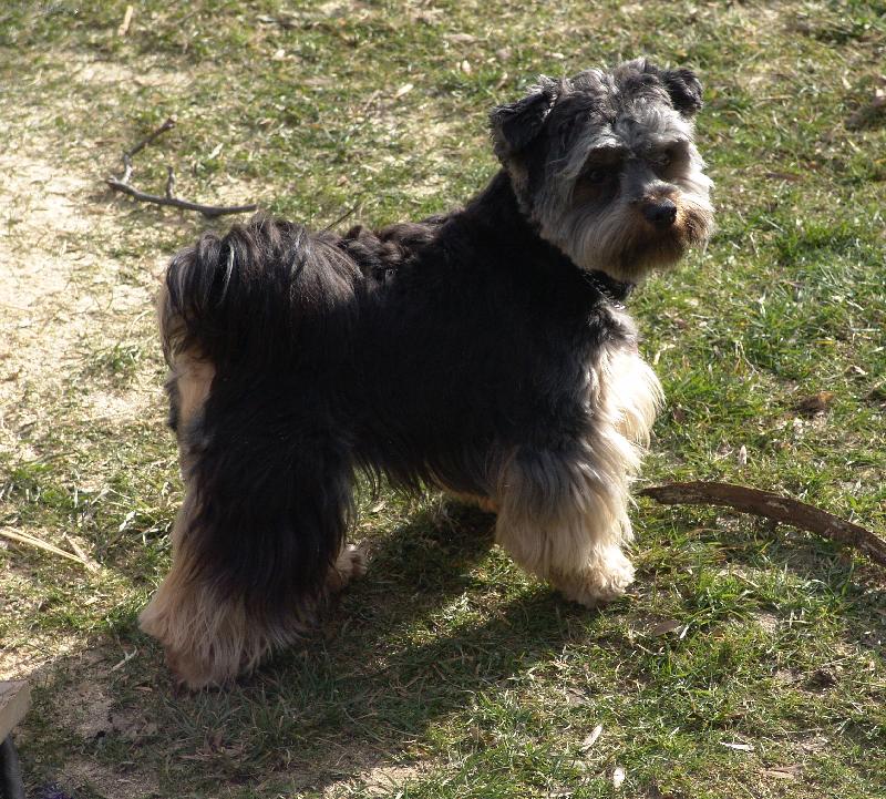 Foto: V�echno vidim