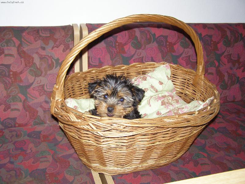 Foto: kuk  na pani�ku