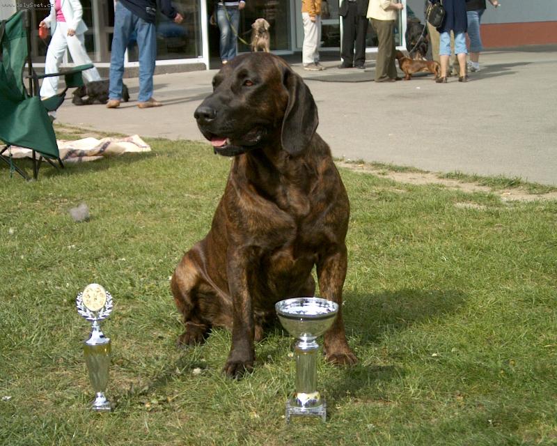 Foto: Bask-Mezin�rodn� �ampion