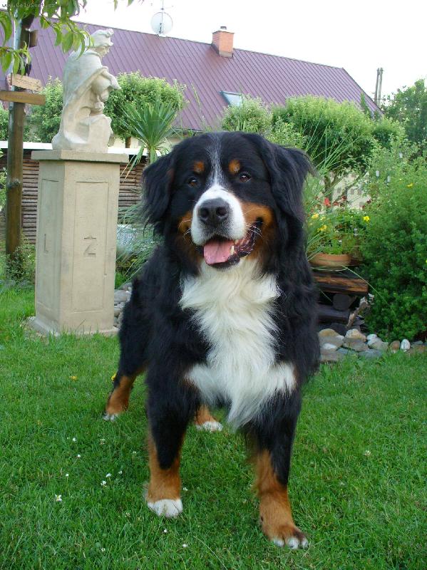 Foto: Bad z Haukovic