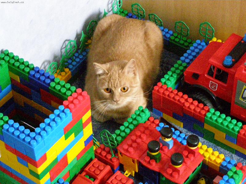 Foto: Nov� dome�ek