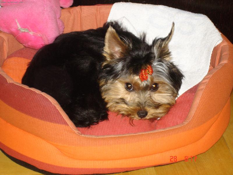 Foto: Mandynka-Haj�