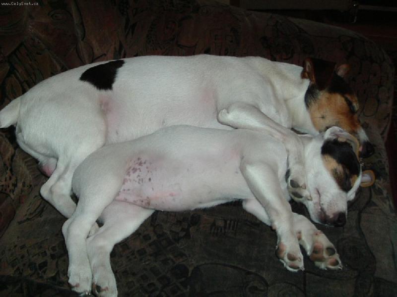 Foto: Relaxace-To je pohodi�ka.....