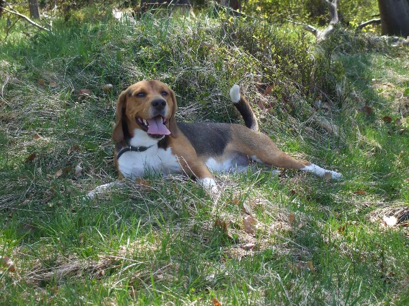 Foto: Na vych�zce-To jsem ale z t�ch zaj�c� utahan�