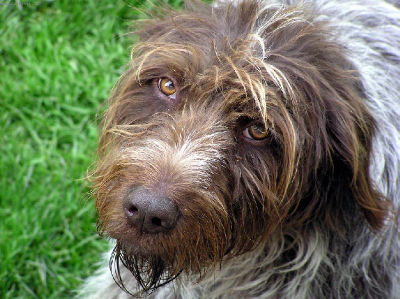 Foto: Tak u� poj�!