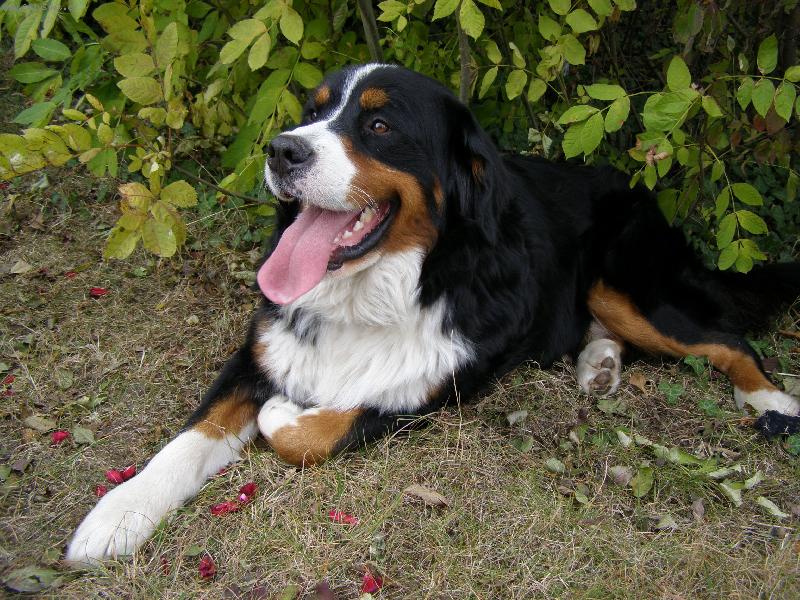 Foto: podzimn� pohodi�ka