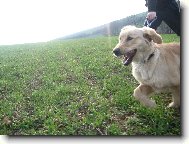 N� 5tim�s��n� fe��k Jerry:)