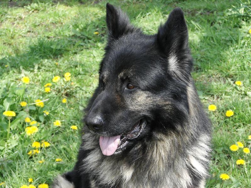 Foto: Dneska odpo��v�m