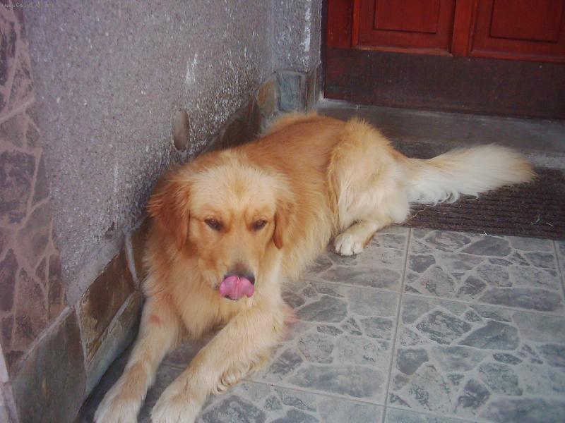 Foto: Max�k-M�am:-))