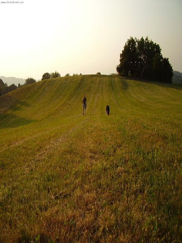 Foto: Louka-Phoda na p�in�:)