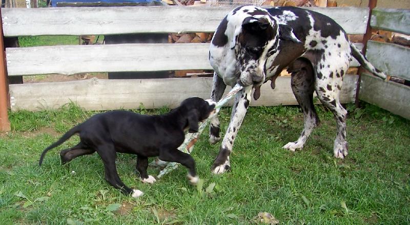 Foto: Kdo z koho?-Maminka a dcera