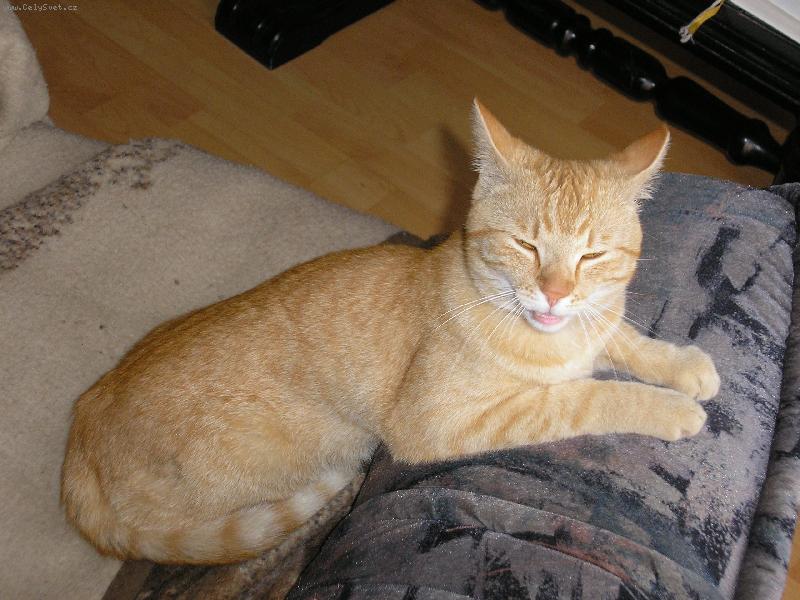 Foto: Felix-Co ru��te?!