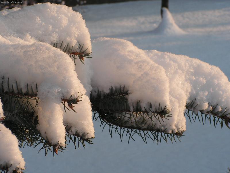 Foto: zima-vanoce 2005