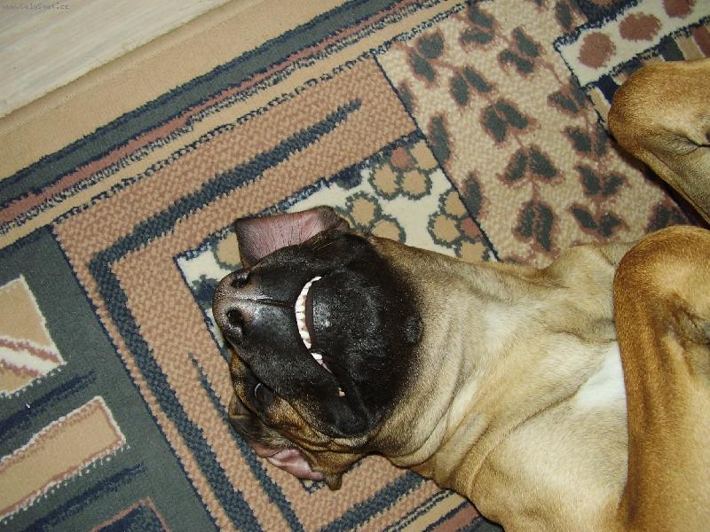 Foto: P�kn� �sm�v do objektivu