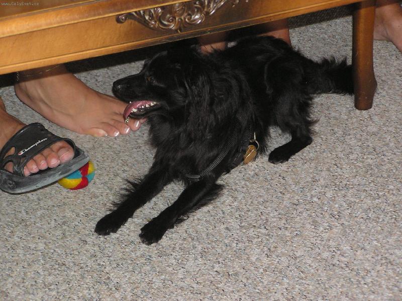 Foto: Jerry-Nikdo si nechce hr�t, ach jo...