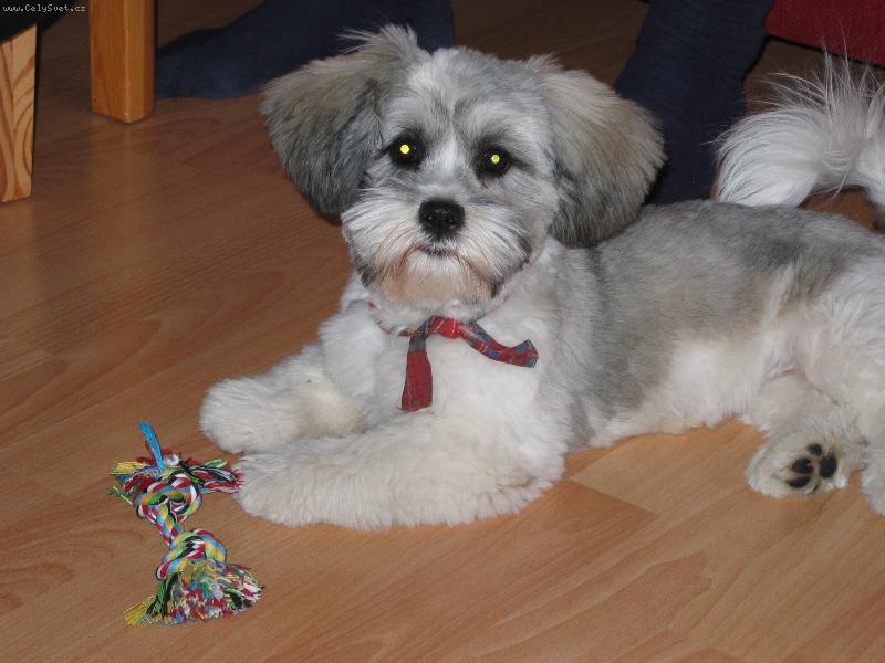 Foto: fejsinkaa-fejsinka