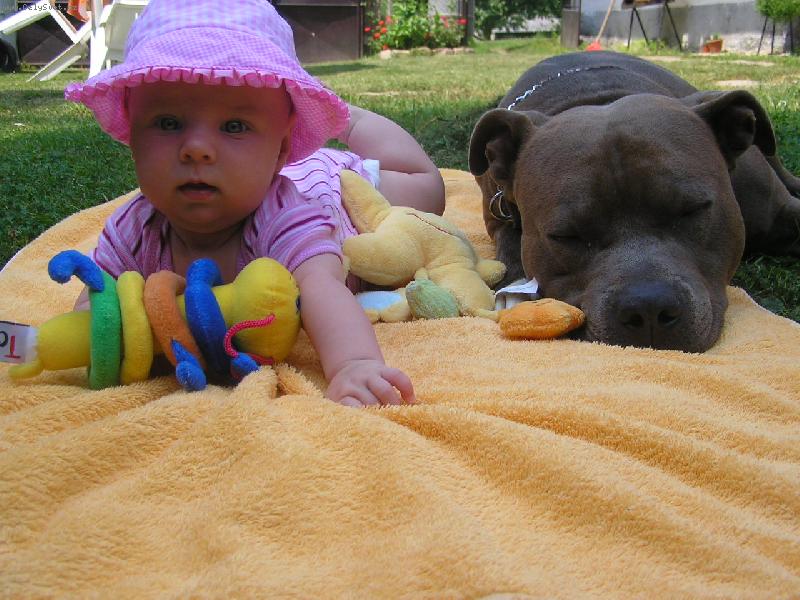 Foto: Baron a Ka�enka