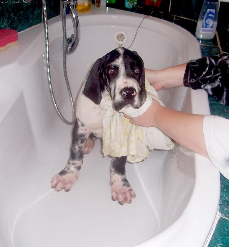 Foto: Prvn� koupel