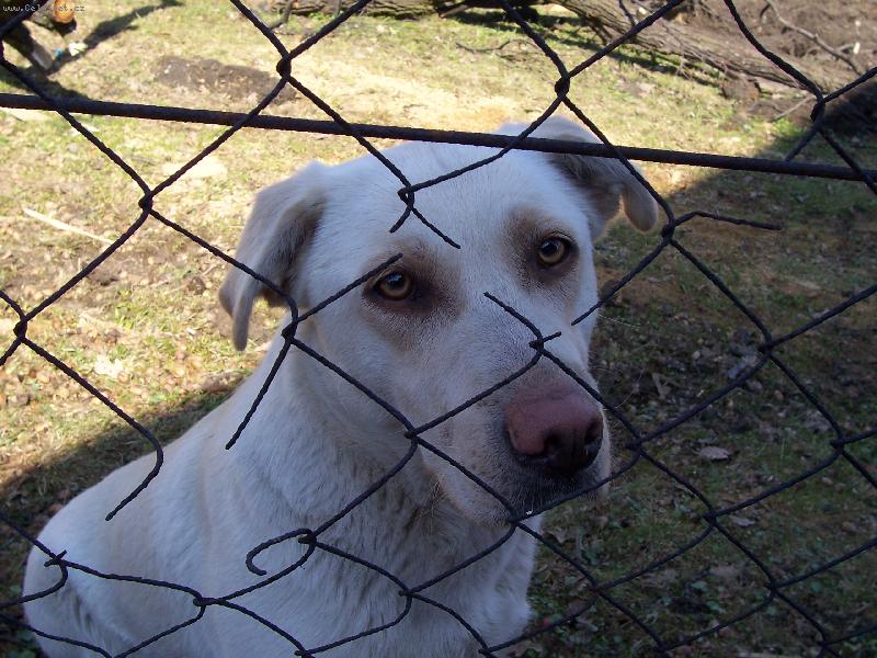 Foto: Vra� se dom�-Tine�ka