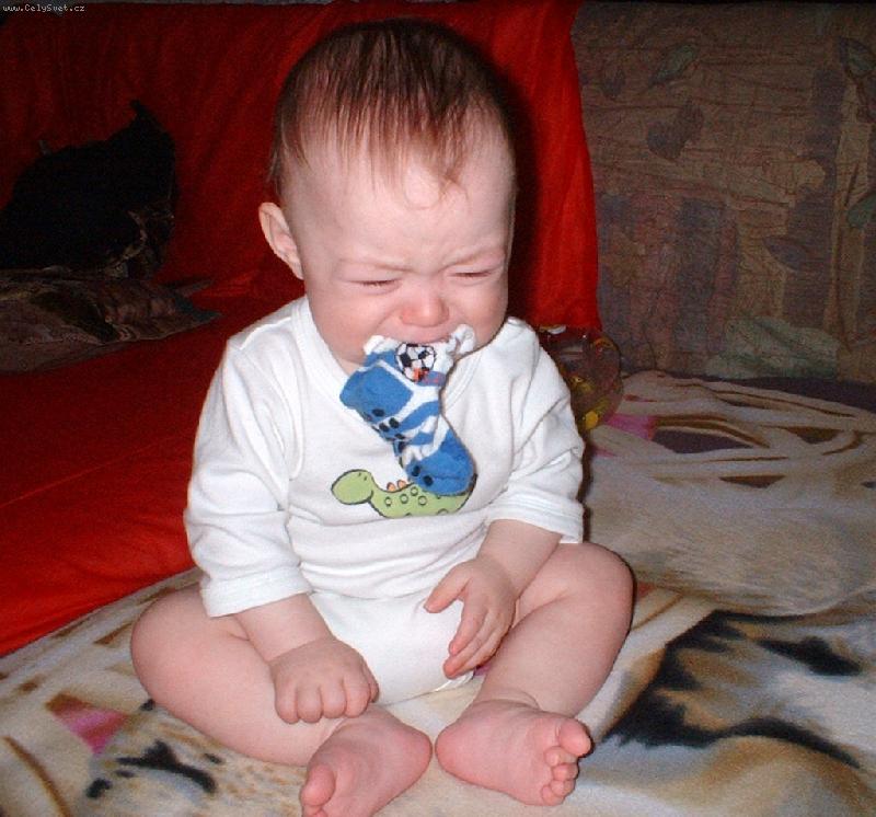 Foto: BRANKO-na ve�eru som dostal len pono�kuuuu