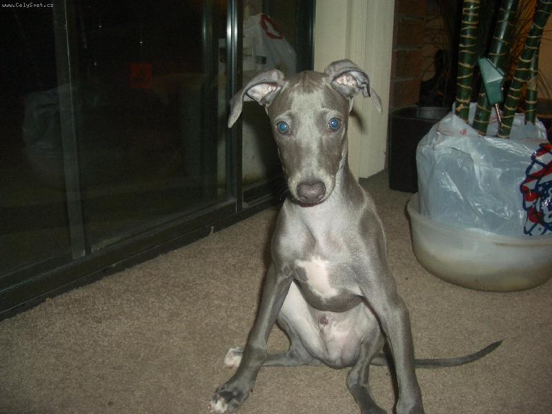 Foto: Italacek, muj milacek!!!