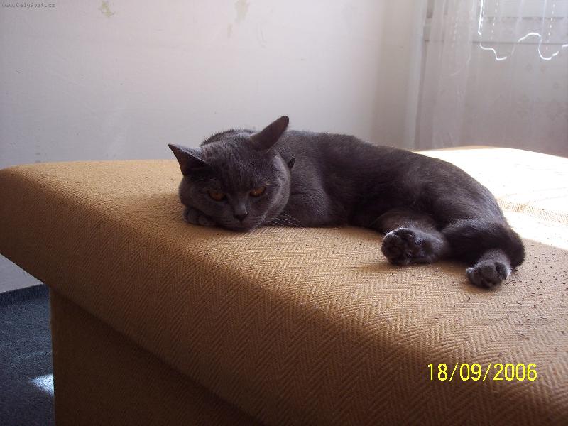 Foto: Na�e mal� princezna